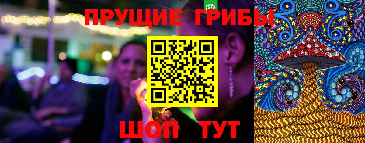 Сосновоборск  Псилоцибиновые грибы прущие грибы  Вход с VPN 