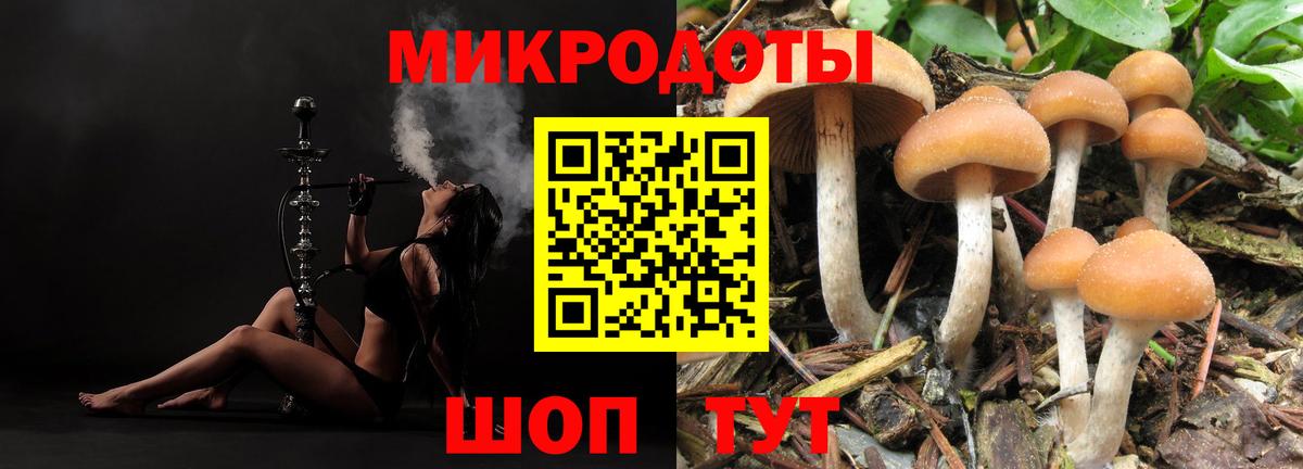 Галлюциногенные грибы Magic Shrooms Сосновоборск